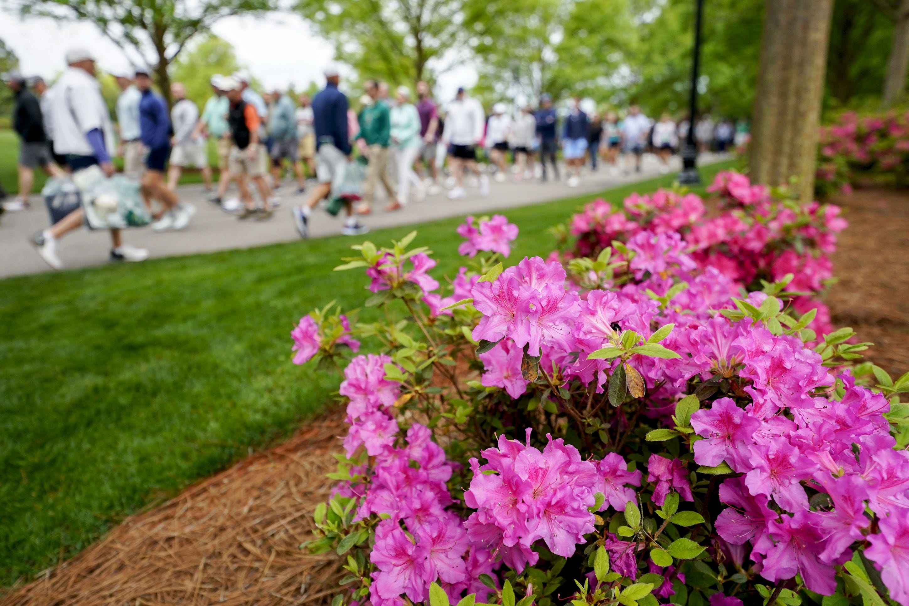 2023 Masters