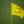2024 Masters Tournament