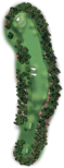 Augusta National hole graphic