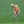 2024 Masters Tournament
