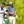 2024 Masters