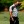 2024 Masters