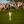 2024 Masters