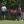 2024 U.S. Open qualifying